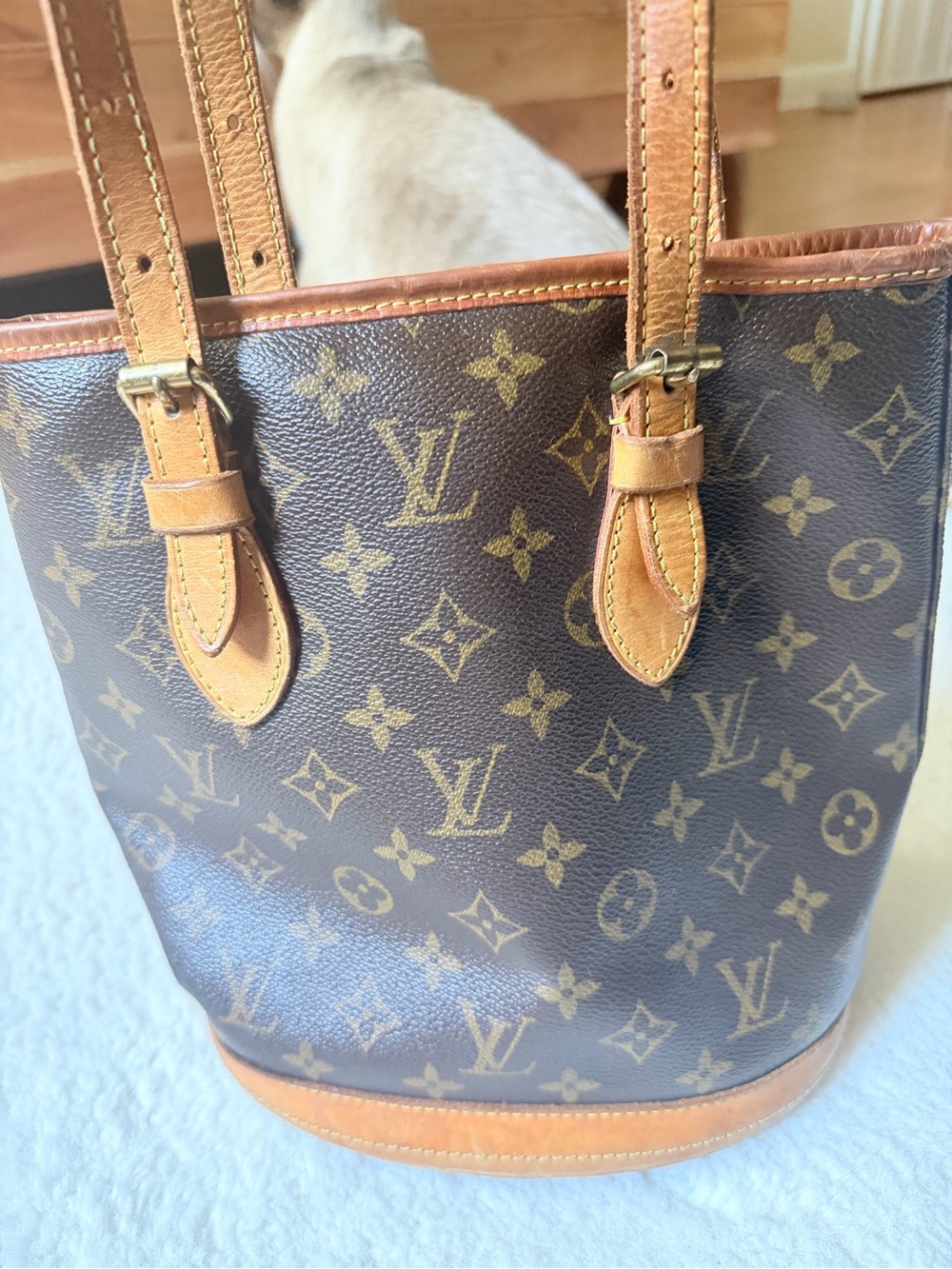 Louis Vuitton Monogram Bucket Bag in Brown & Tan Leather Trim - Picture 6 of 16
